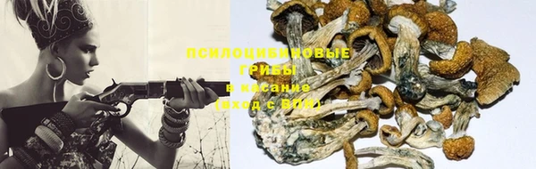 кокс Алексин