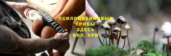 спайс Алзамай