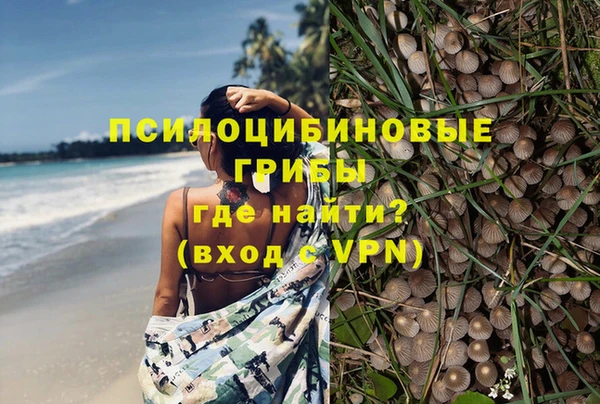 кокс Алексин