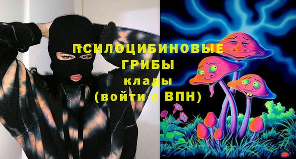 спайс Алзамай