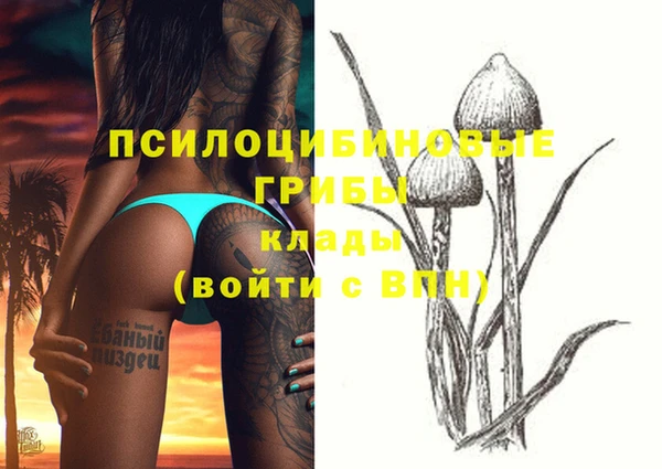 кокс Алексин