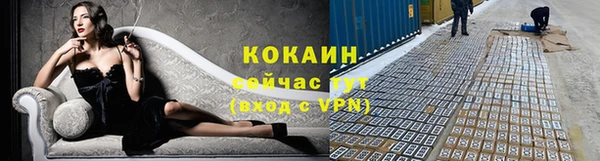 кокс Алексин