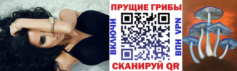 купить  цена  Боровск  Галлюциногенные грибы GOLDEN TEACHER 
